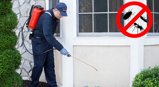 Beypazarı Dezenfeksiyon böcek ilaçlama ve haşere kontrolü — ilaclama-tr.com